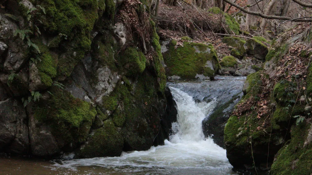Cascade moussue — Gorges de l'enfer