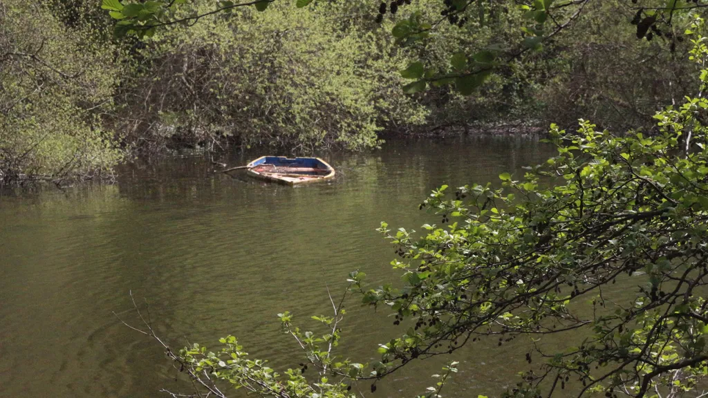 Canot au bord de l'eau — Lac d'Aydat